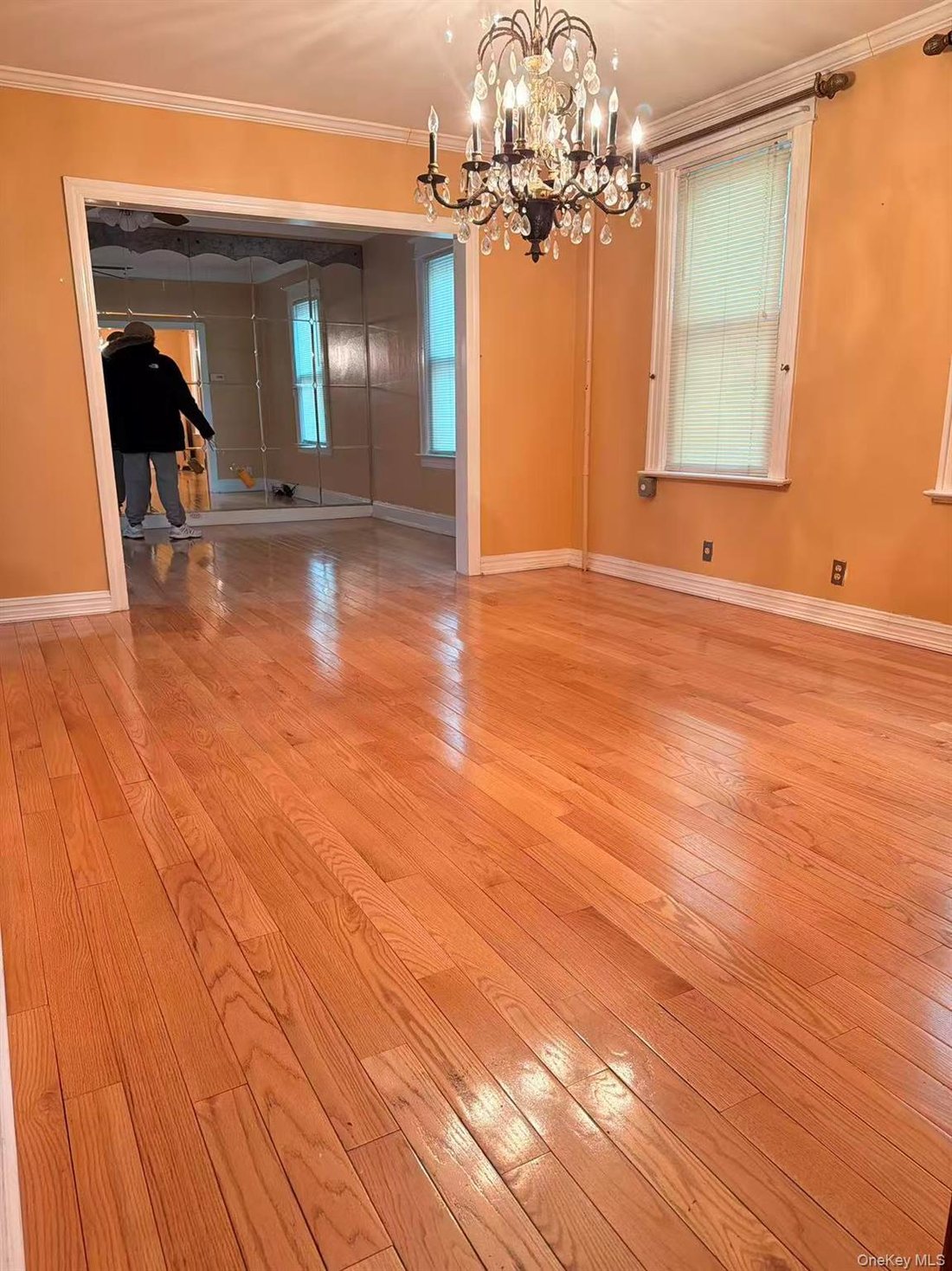 House in New York, New York, United States 4 - 18203661
