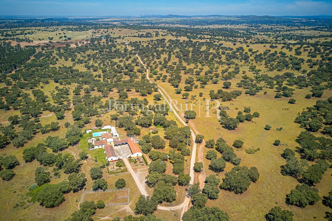 Finca in Monforte, Portalegre District, Portugal 3 - 18205747