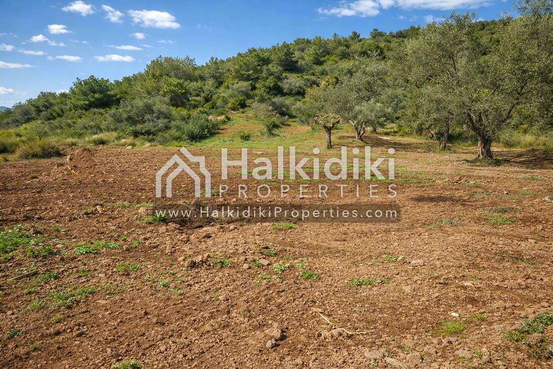 Land in Pallini Municipal Unit, Macedonia and Thrace, Greece 5 - 11865030