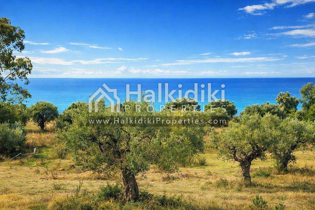 Land in Polygyros, Macedonia and Thrace, Greece 2 - 11865039