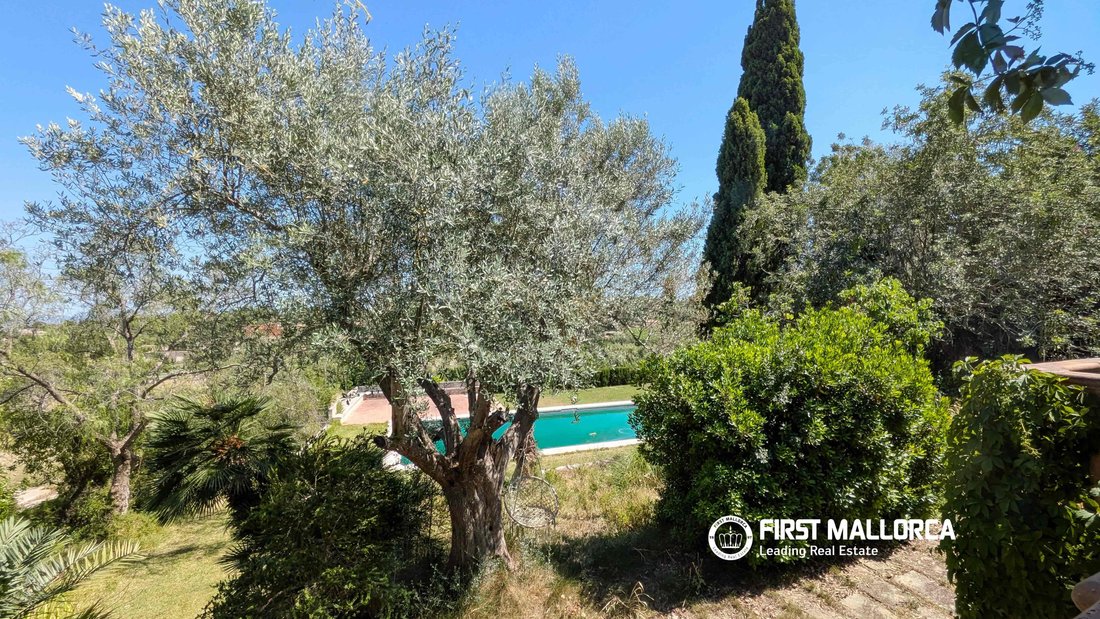 Villa in Palma, Balearic Islands, Spain 2 - 18201234