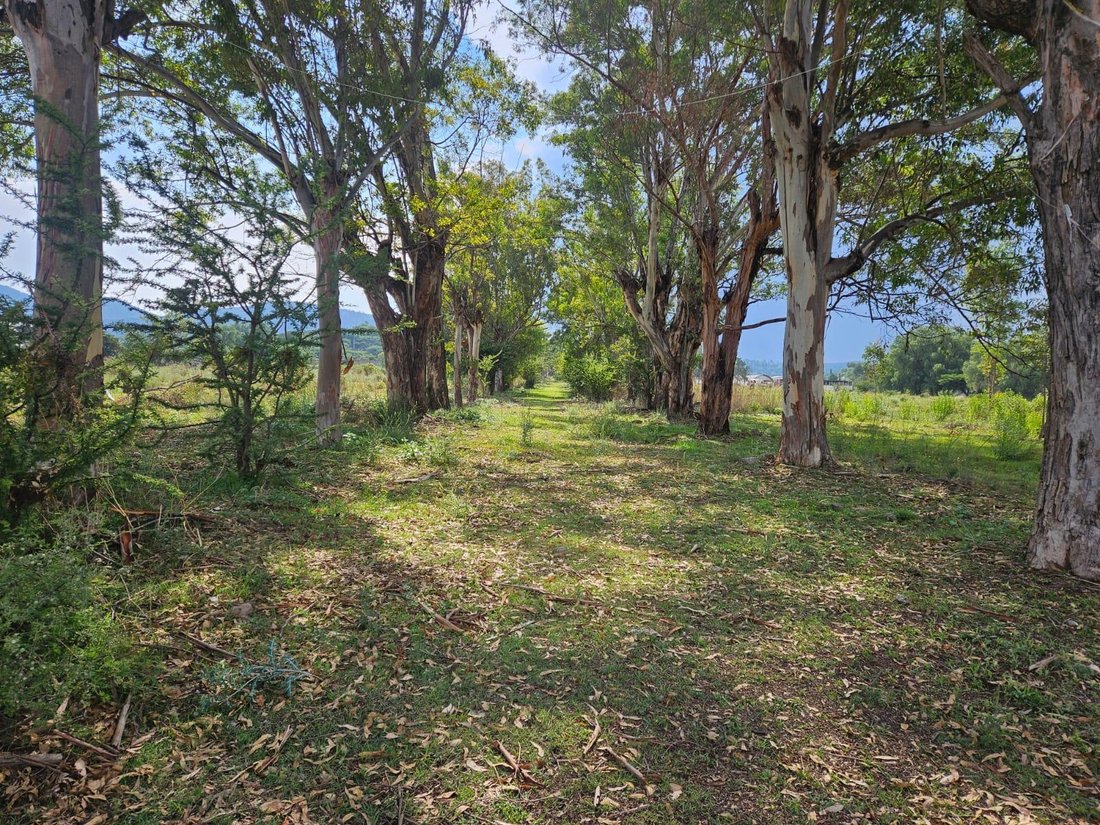 Land in Tepeji, Hidalgo, Mexico 3 - 18206762