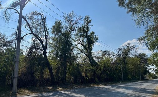 Terreno en Montemorelos, Nuevo León, México 1