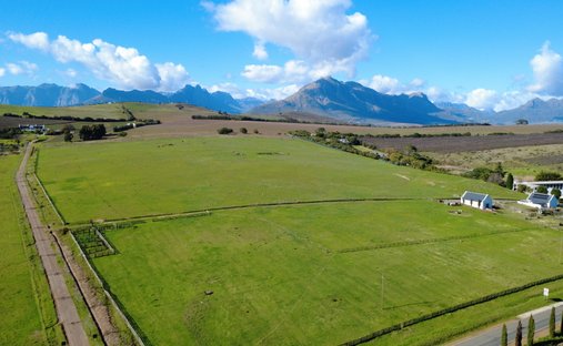 Azienda agricola a Stellenbosch, Capo Occidentale, Sudafrica 1