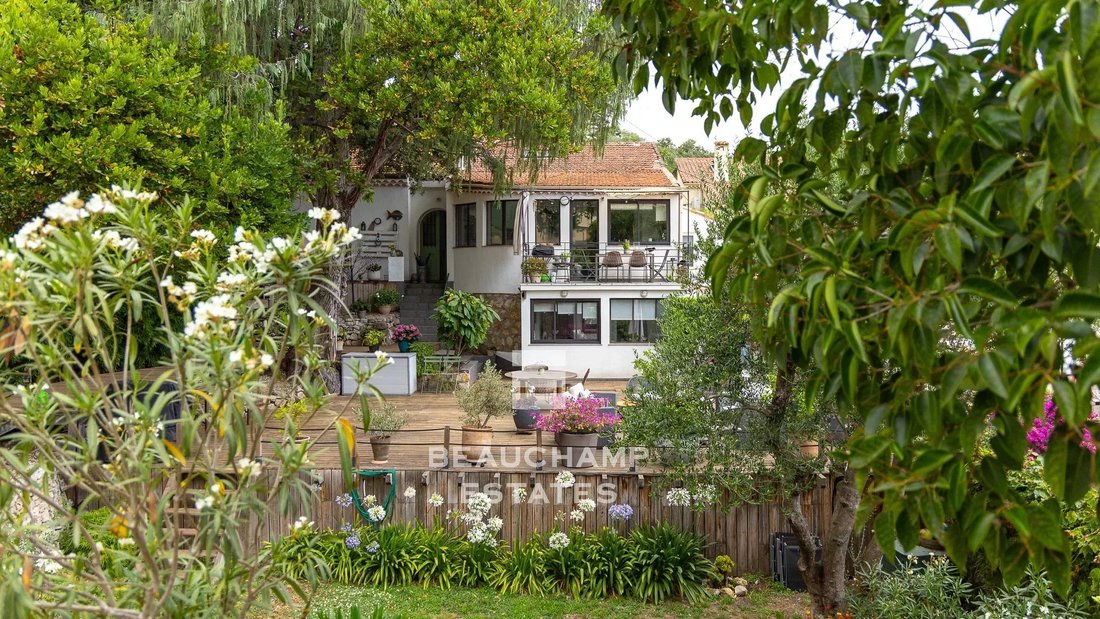 Villa in Tassigny, Cannes, France 2 - 15863468
