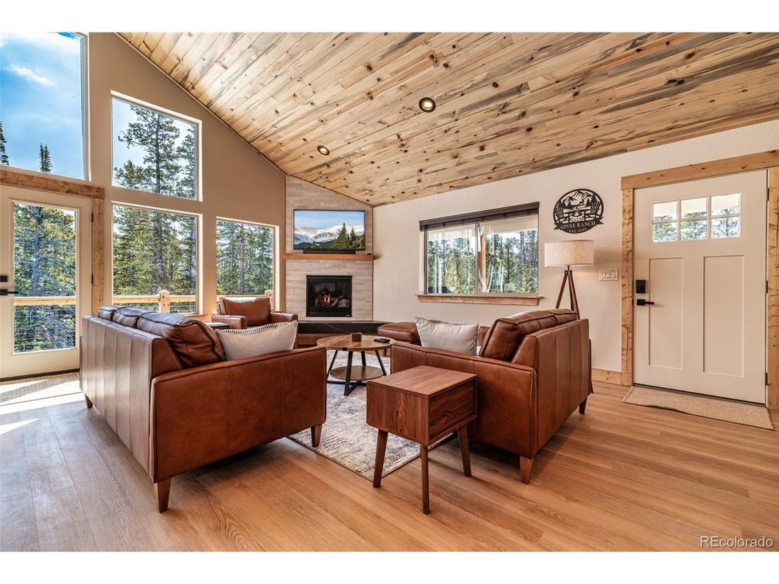 House in Alma, Colorado, United States 3 - 18203952
