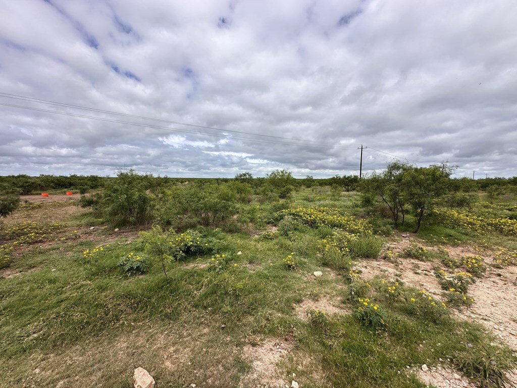Land in Eldorado, Texas, United States 4 - 18200037