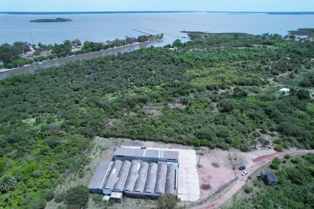 Land in Carmelo, Colonia Department, Uruguay 5 - 18202585