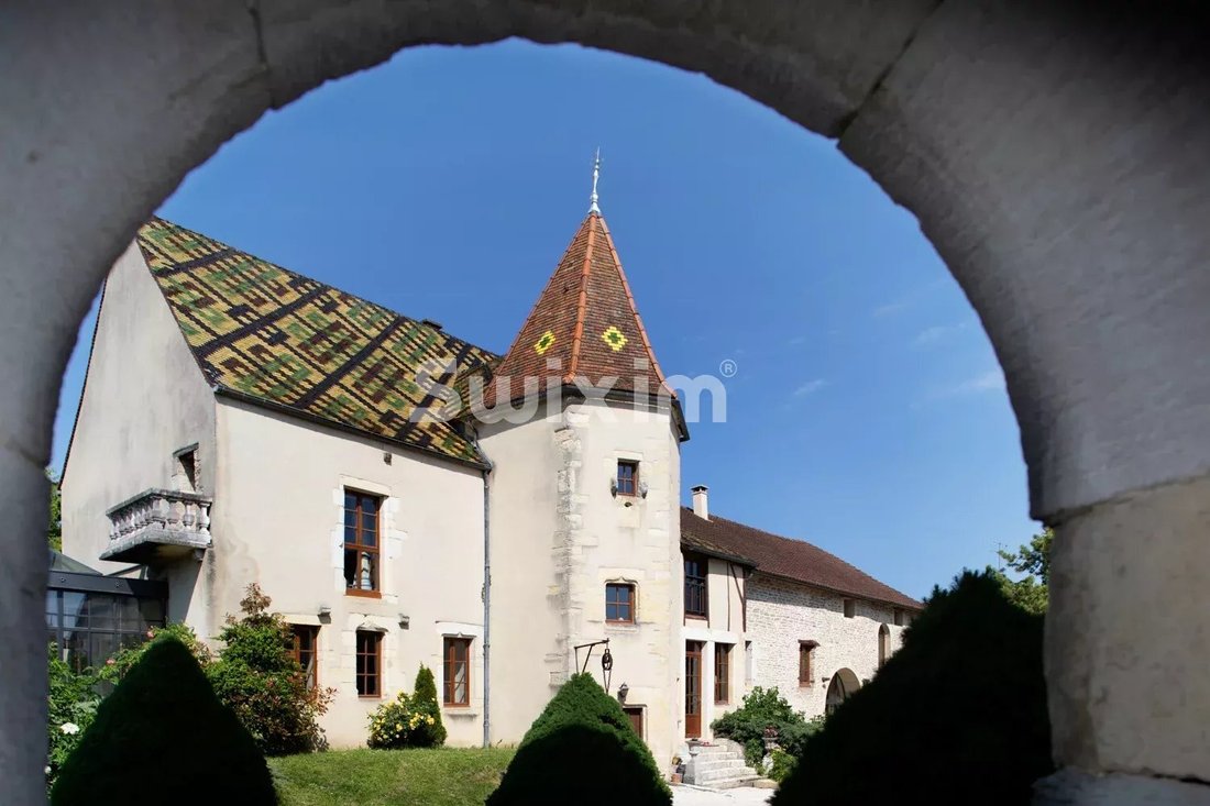 Estate in Fauconnet, Dijon, France 1 - 18201707