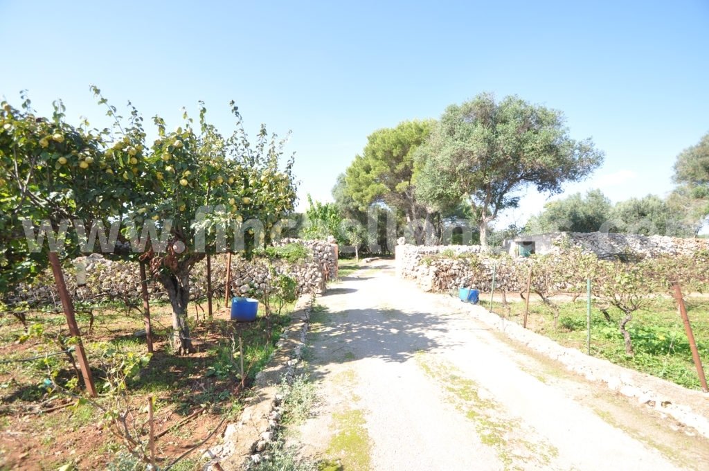 House in Sant Lluis, Balearic Islands, Spain 5 - 18203338