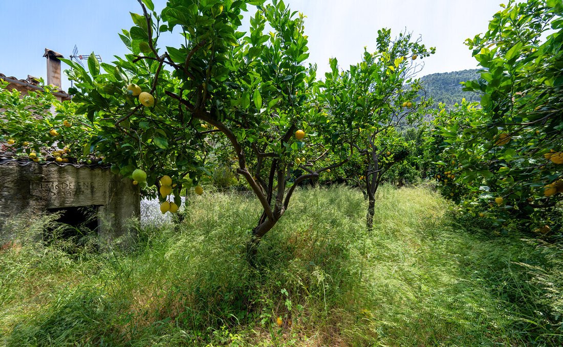 House in Soller, Balearic Islands, Spain 4 - 18203319