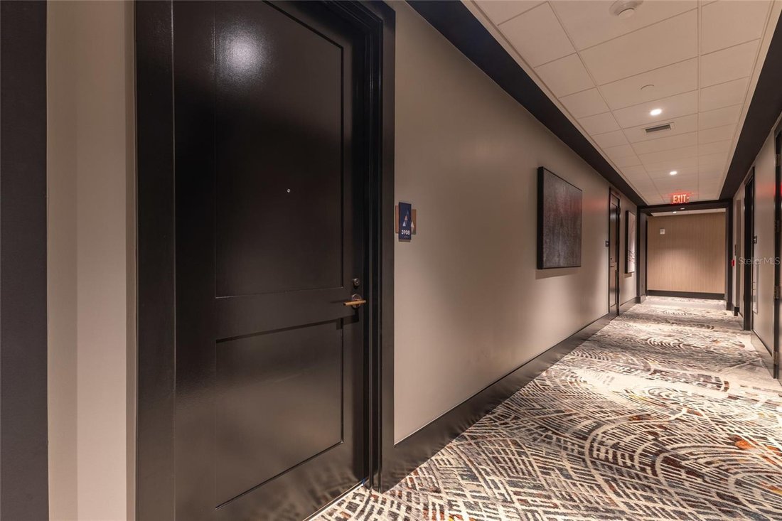 Condo in St. Petersburg, Florida, United States 2 - 18203778