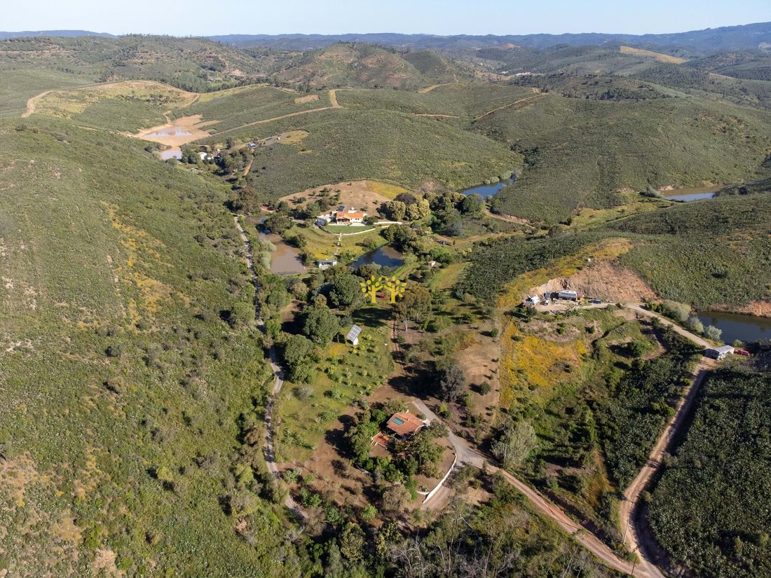 Farm Ranch in Mexilhoeira Grande, Algarve, Portugal 3 - 18202106