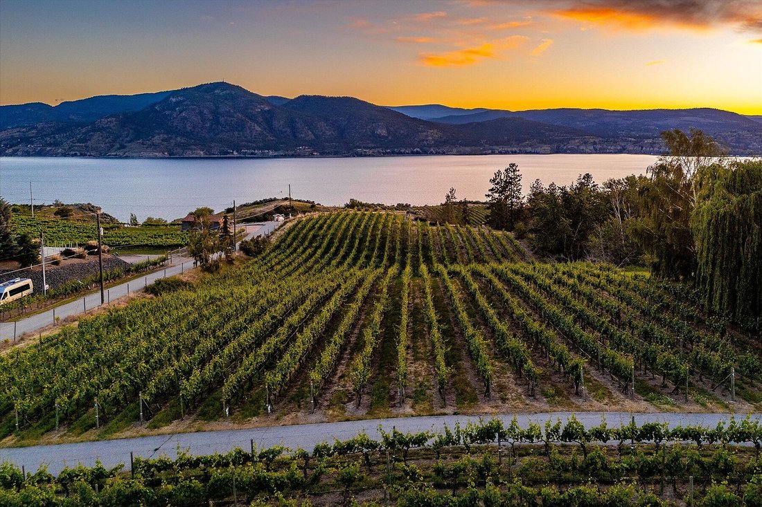Casa a Penticton, Columbia Britannica, Canada 3 - 18202555