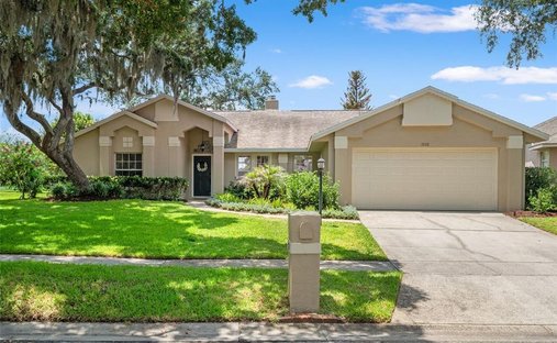 House in Oviedo, Florida, United States 1