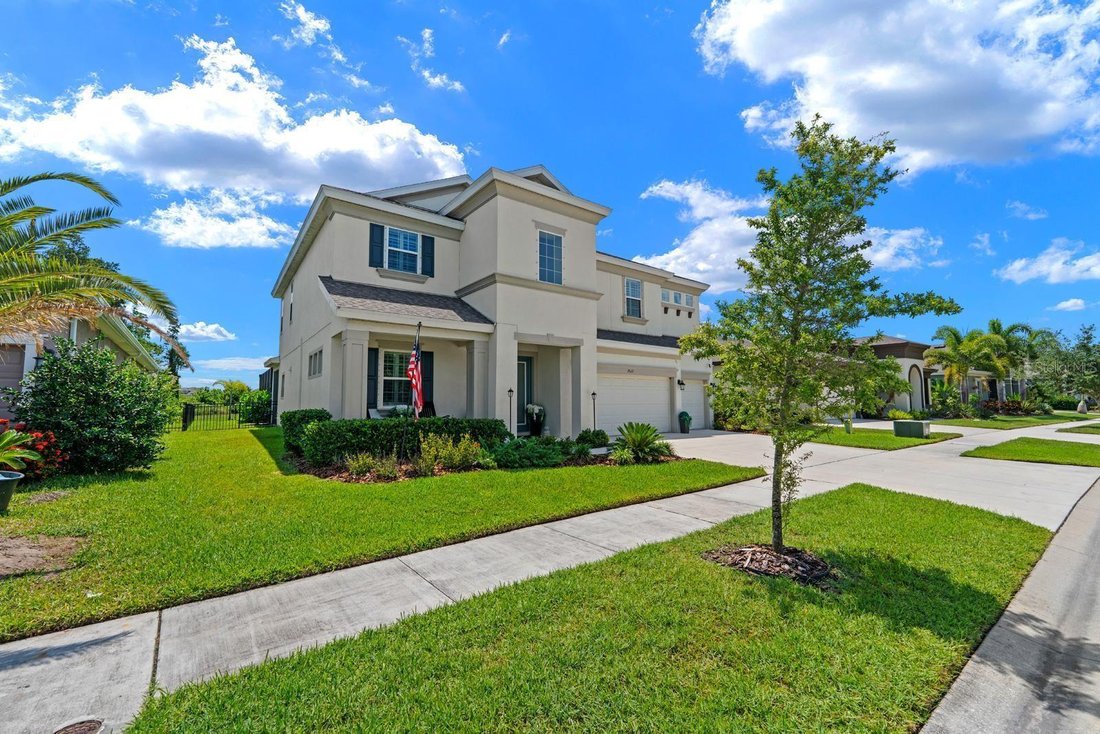House in Apollo Beach, Florida, United States 3 - 18200064