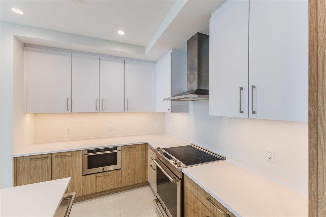 Condo in St. Petersburg, Florida, United States 3 - 18203778