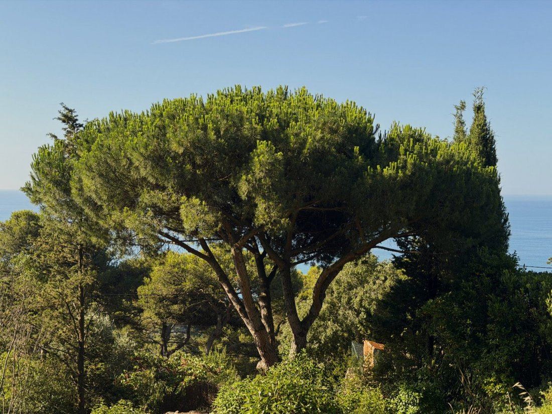 Land in Espace Villeroy-Les Quilles, Sète, France 5 - 18200729
