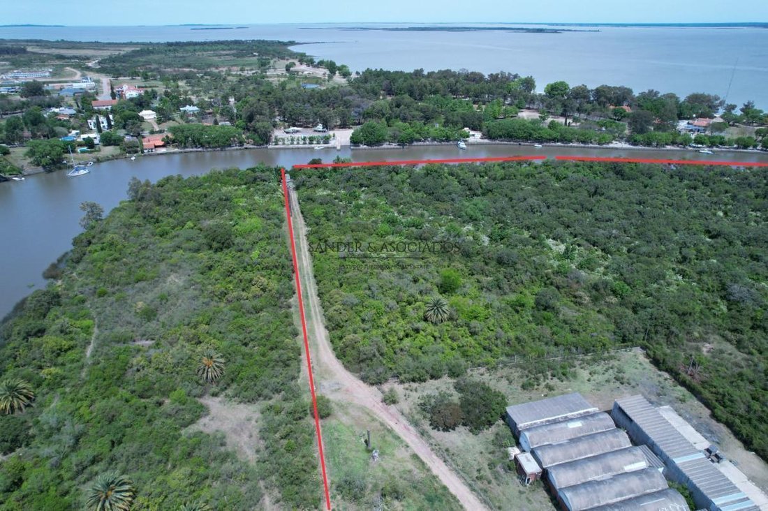 Land in Carmelo, Colonia Department, Uruguay 3 - 18202585