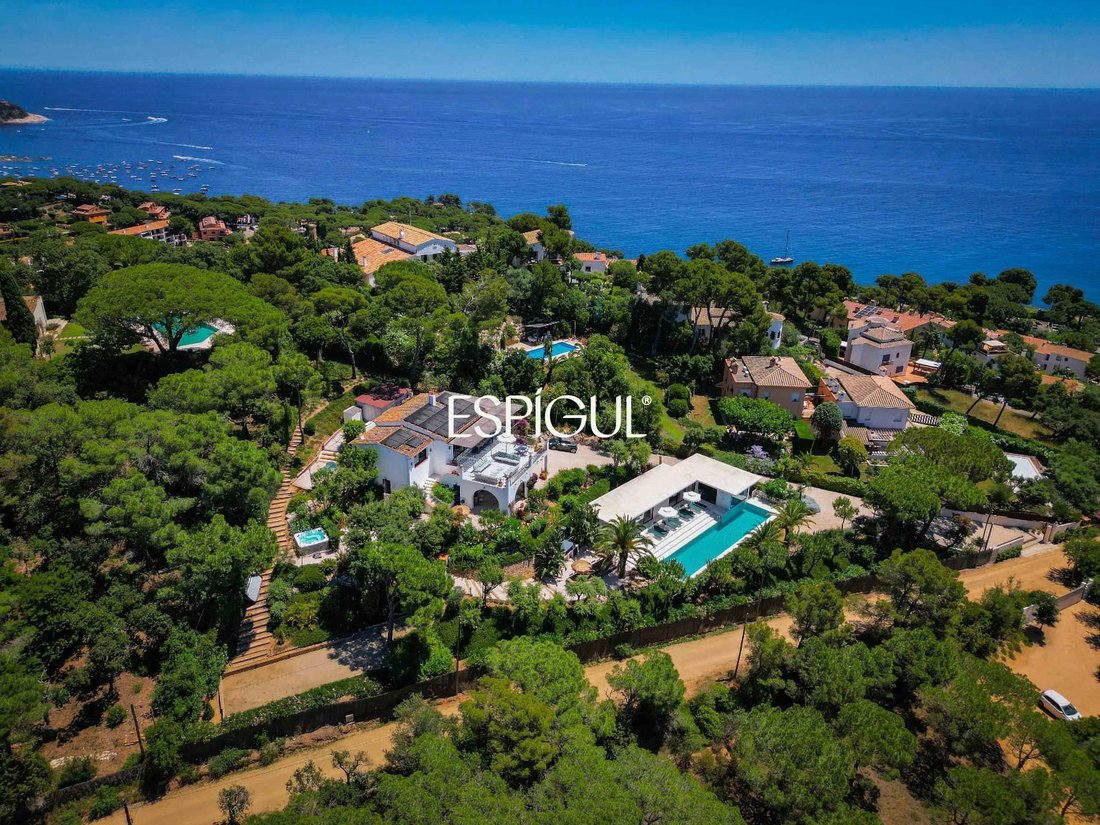 Villa in Calella de Palafrugell, Palafrugell, Catalonia 2 - 18203086