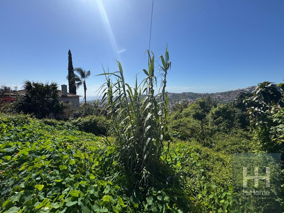 Land in Santo Antonio, Madeira, Portugal 5 - 18205810