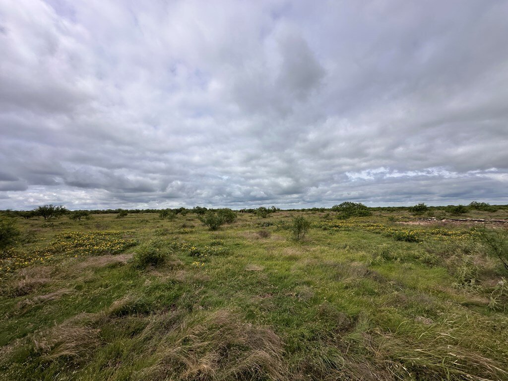 Land in Eldorado, Texas, United States 3 - 18200037