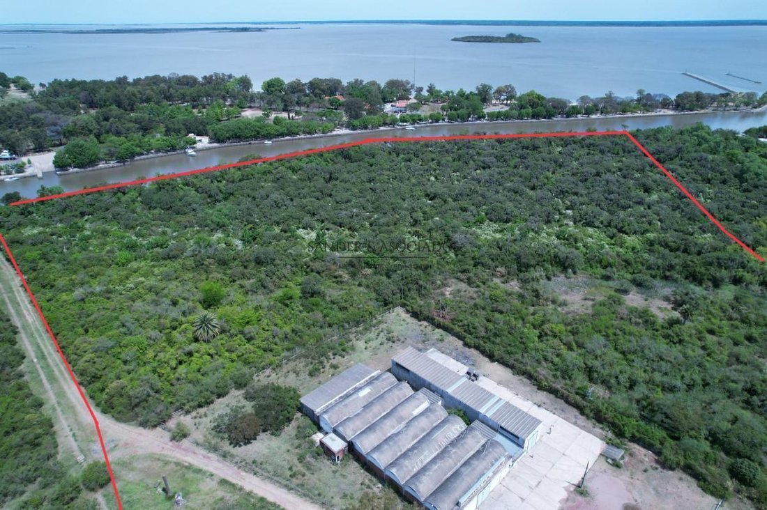 Land in Carmelo, Colonia Department, Uruguay 4 - 18202585