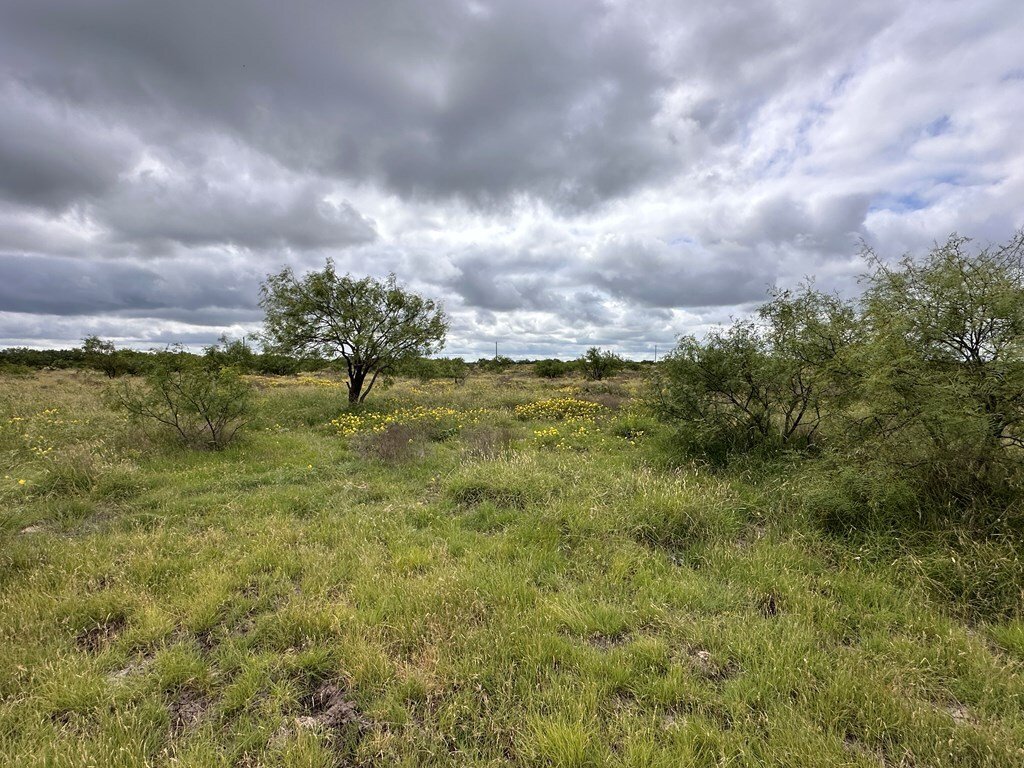 Land in Eldorado, Texas, United States 2 - 18200037