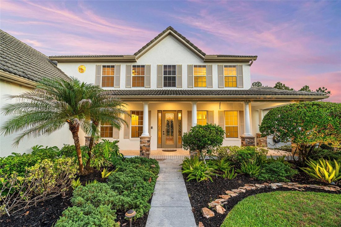 House in Myakka City, Florida, United States 1 - 18203808