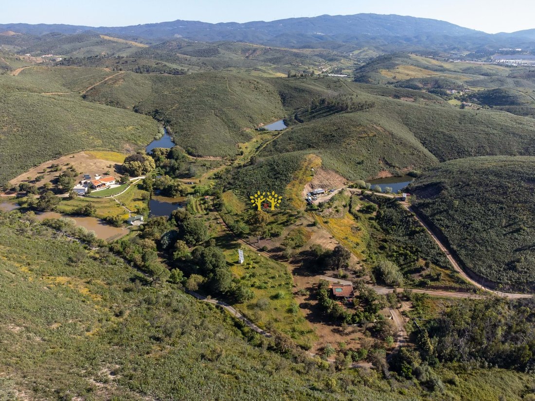 Farm Ranch in Mexilhoeira Grande, Algarve, Portugal 4 - 18202106