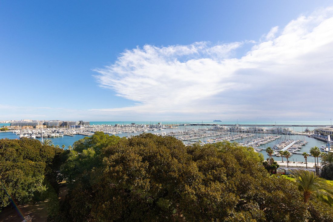 Apartment in Alicante, Valencian Community, Spain 4 - 18208749