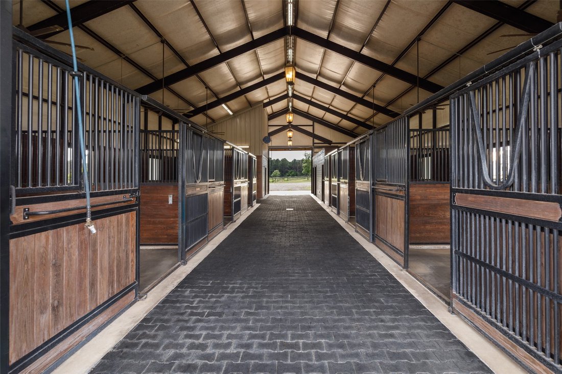 Farm Ranch in Waller, Texas, United States 4 - 18197279
