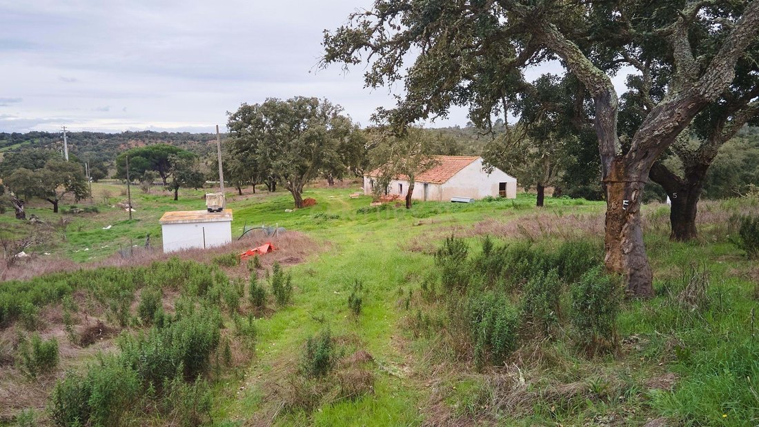 Land in Abela, Setubal, Portugal 4 - 18208773