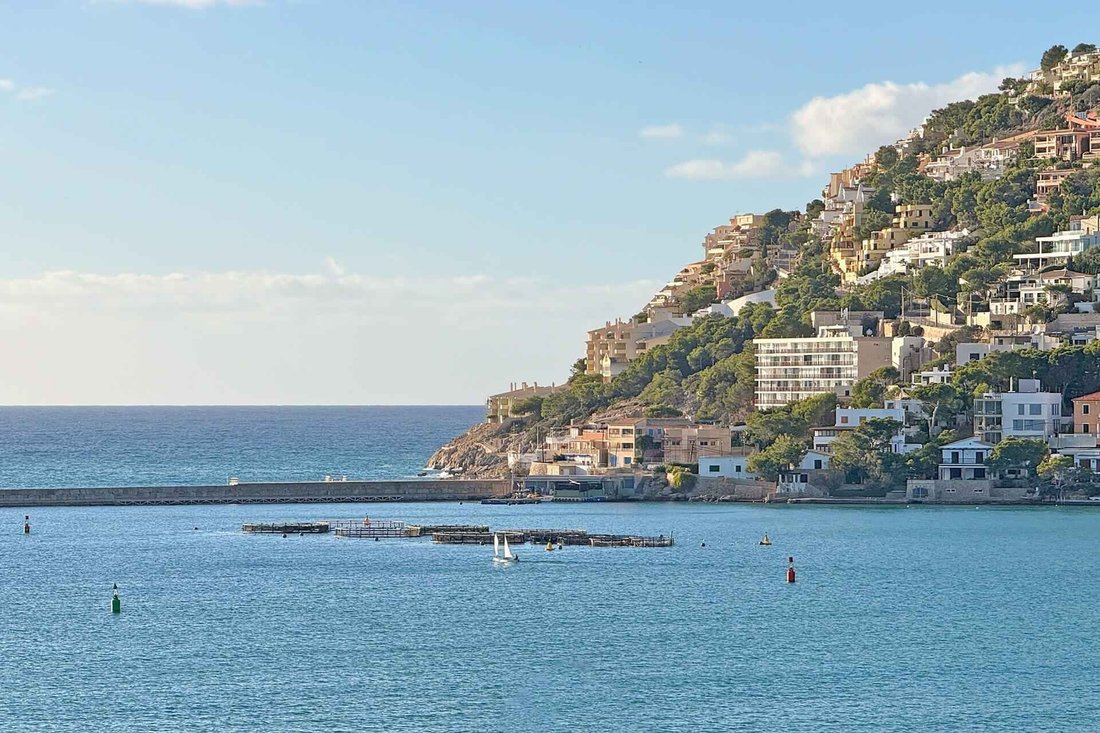 Apartment in Port d'Andratx, Andratx, Balearic Islands 1 - 18207911
