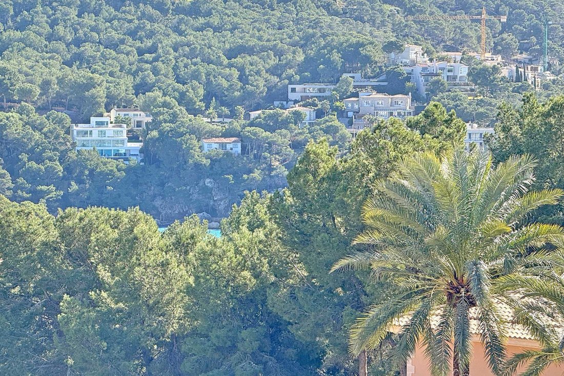 Penthouse à Camp de Mar, Mallorca, Andratx, Îles Baléares 4 - 18207899
