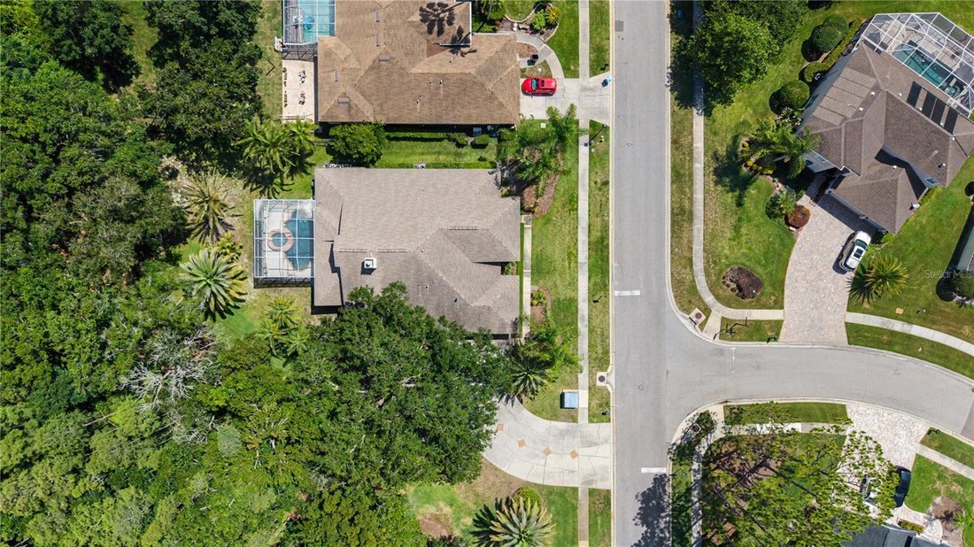 House in Land O' Lakes, Florida, United States 3 - 18207591