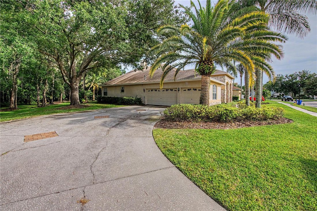 House in Land O' Lakes, Florida, United States 2 - 18207591