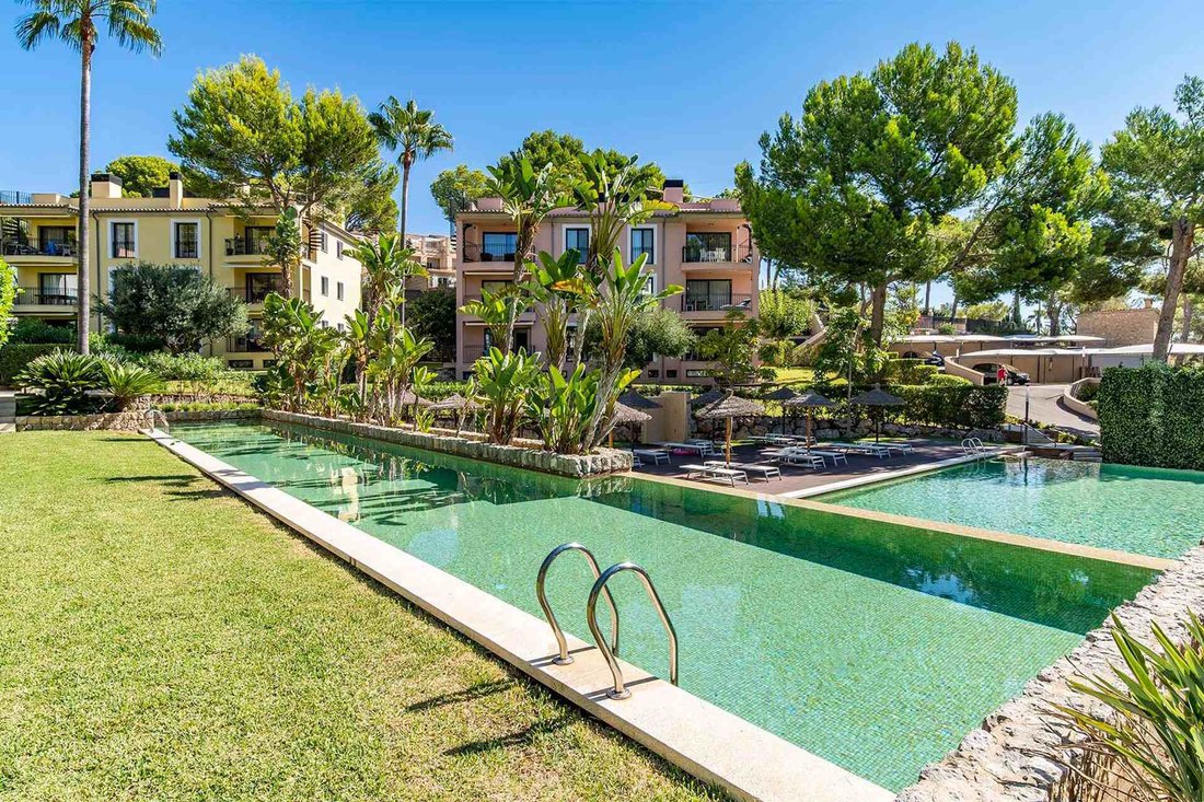 Apartment in Camp de Mar, Mallorca, Andratx, Balearic Islands 1 - 18208199