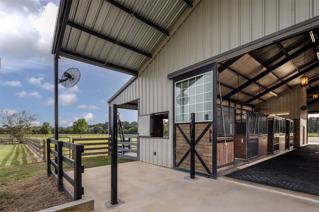 Farm Ranch in Waller, Texas, United States 5 - 18197279