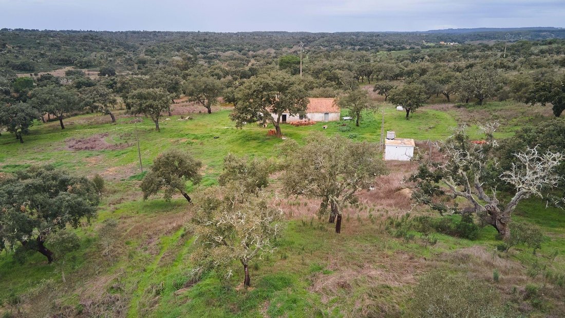 Land in Abela, Setubal, Portugal 5 - 18208773