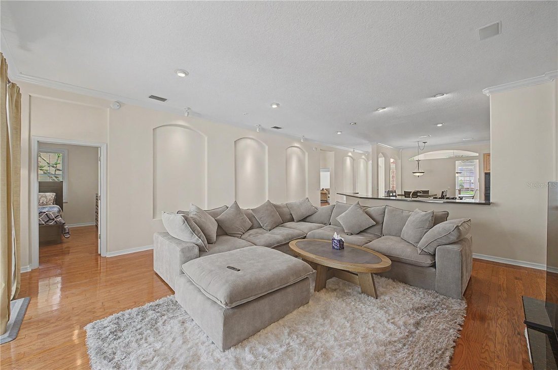 House in Land O' Lakes, Florida, United States 5 - 18207591