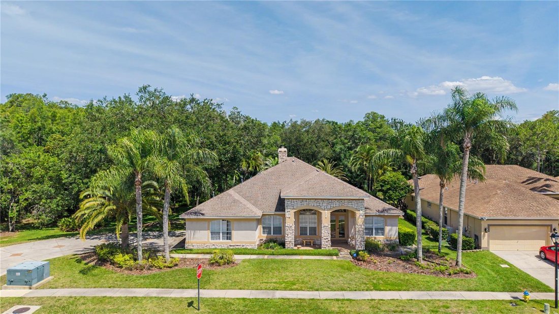 House in Land O' Lakes, Florida, United States 1 - 18207591