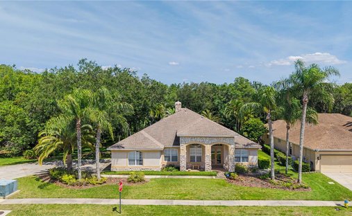 House in Land O' Lakes, Florida, United States 1