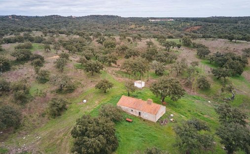 Land in Abela, Setubal, Portugal 1