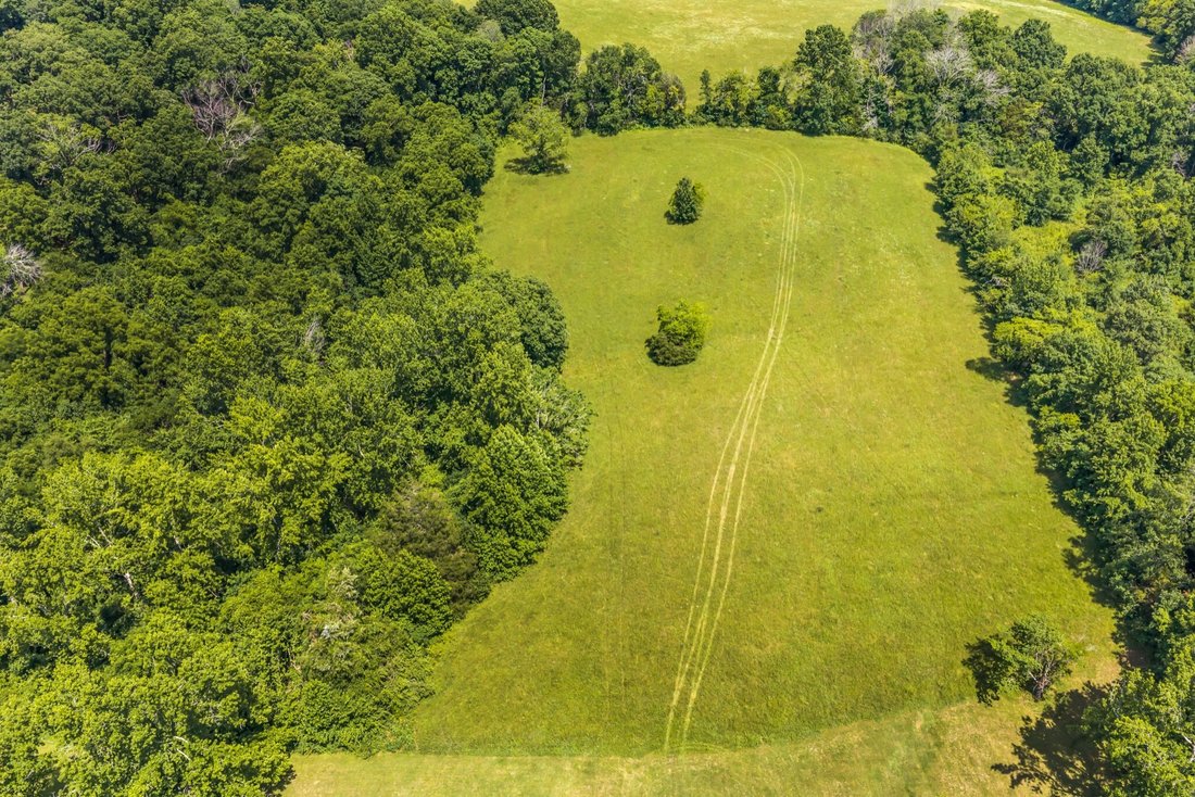 House in Goodlettsville, Tennessee, United States 2 - 18208373