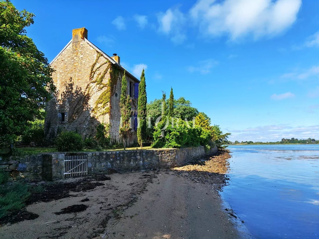 House in France 1 - 16063515