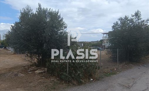 Terrain à Vari, Attique, Grèce 1