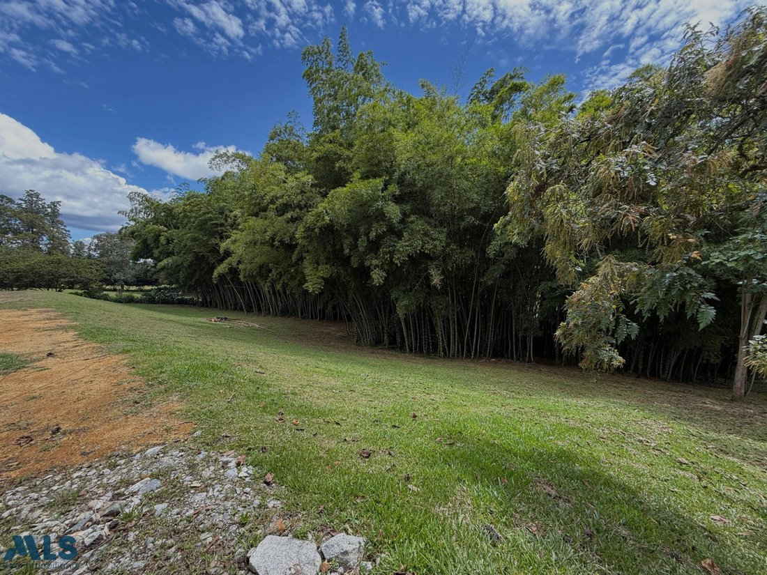 Land in Don Diego, Antioquia, Colombia 5 - 18208799