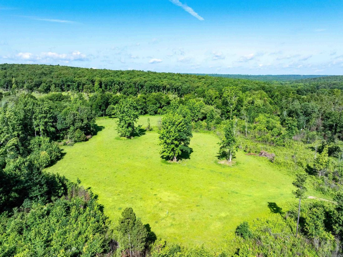 House in Bradford, Arkansas, United States 3 - 18207188