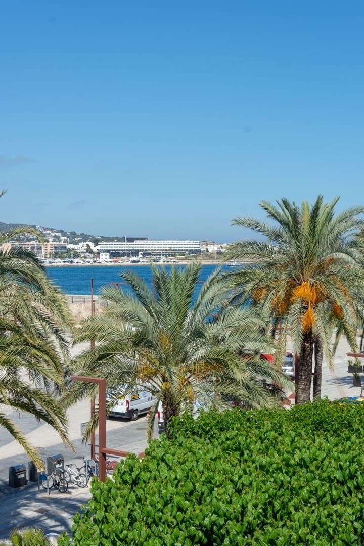 Apartment in Ibiza Town, Balearic Islands, Spain 1 - 18207994